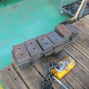 2018111102 ���������^