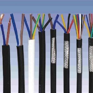 ������|����|���N��е�һ�N��ʲô�ǿ�����|��